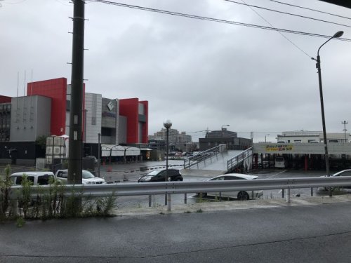 本日は通常営業、明日からは・・・