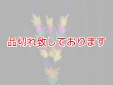 ステッキ花