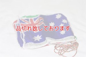 画像1: 万国旗（レギュラー）