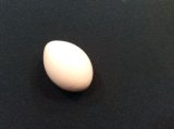 Wooden Egg　木製玉子