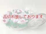 ダブパン様出現花　Dove Pan Fiower Botania