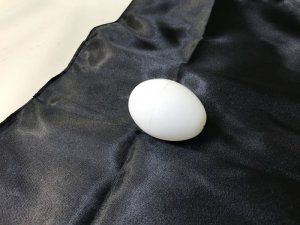 画像3: 鶏と卵