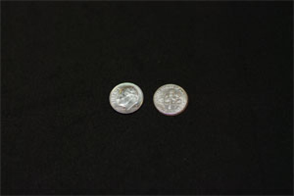 画像1: Reguler Dime (1)