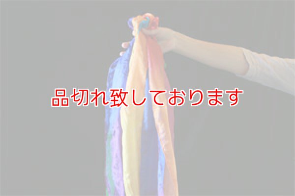 画像1: Silk Streamer 4inch x 15f　シルクストリーマー約１０ｃｍ×４ｍ５０ｃｍ (1)