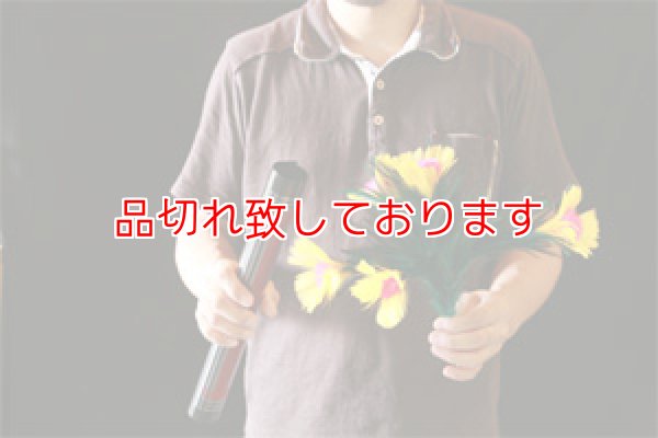 画像1: Crystal Flash Flower (1)