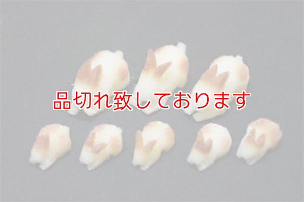 画像1: 3D Rabbit Set　スリーディーラビットセット (1)