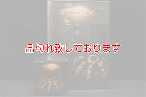 画像1: Tarantula w/DVD タランチュラ 正規品 (1)