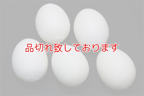 画像1: Sponge Egg (1)