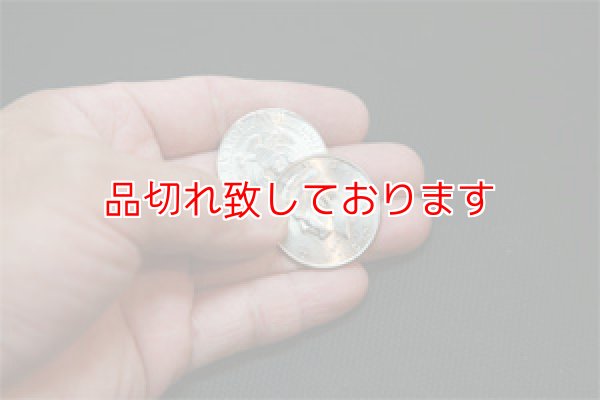 画像1: Flipper coin  フリッパーコイン (1)