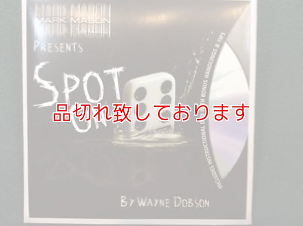 画像1: Spot on　スポットオン (1)