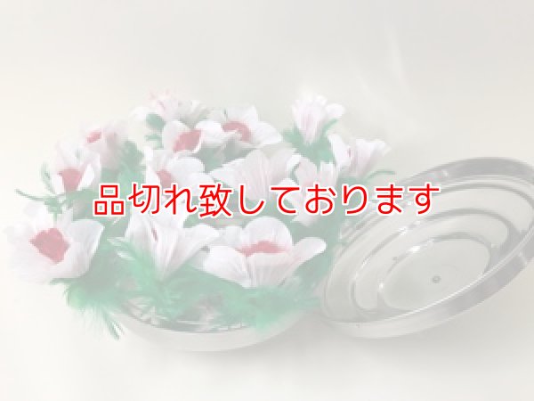 画像1: ダブパン様出現花　Dove Pan Fiower Botania (1)