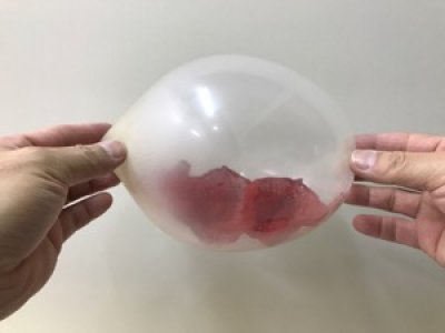 画像1: 風船に入るシルク　Silk in Balloon