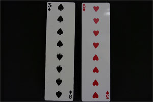 画像1: Long card Double sided　ロングカード（両面） (1)
