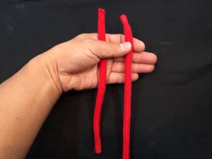 画像1: 短いロープと長いロープ　Sensational Joining Ropes (1)