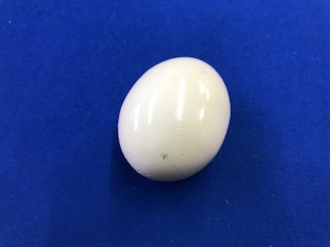 画像: Malini Egg Bag マリーニの袋玉子